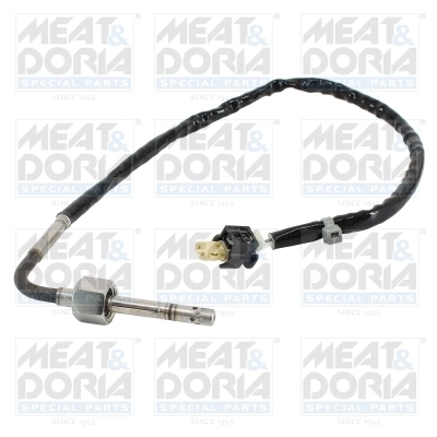 Sensor, exhaust gas temperature